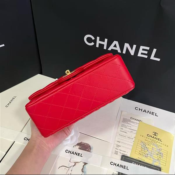 2026127205646814 380